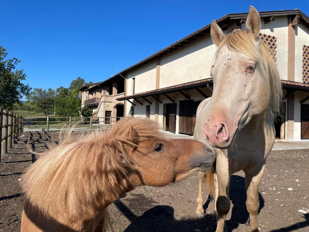 Agriturismo Cergallina Vernasca Екстериор снимка