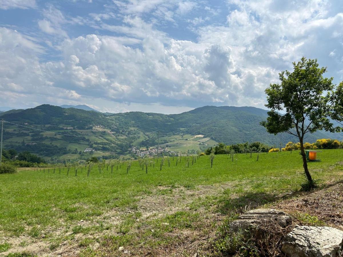 Agriturismo Cergallina Vernasca Екстериор снимка