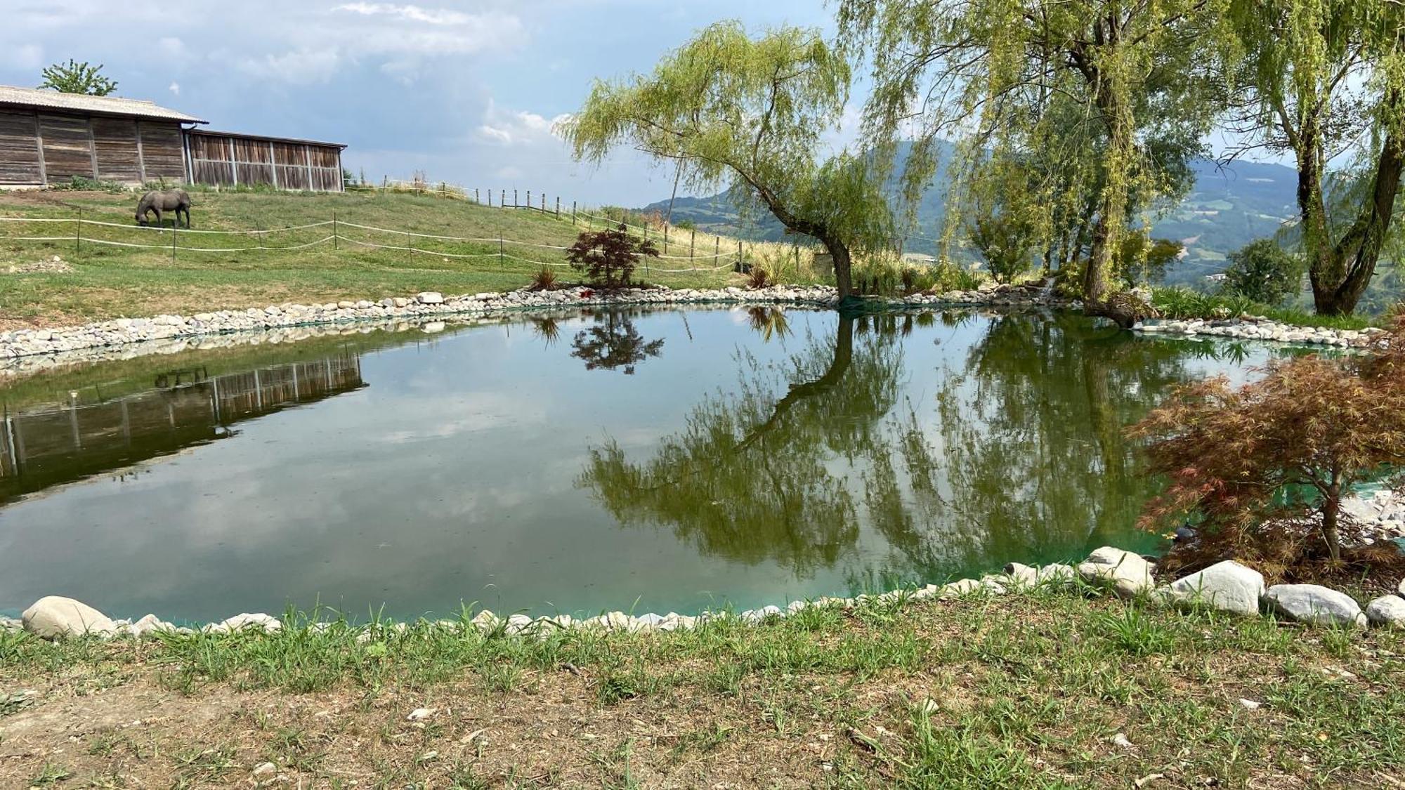 Agriturismo Cergallina Vernasca Екстериор снимка