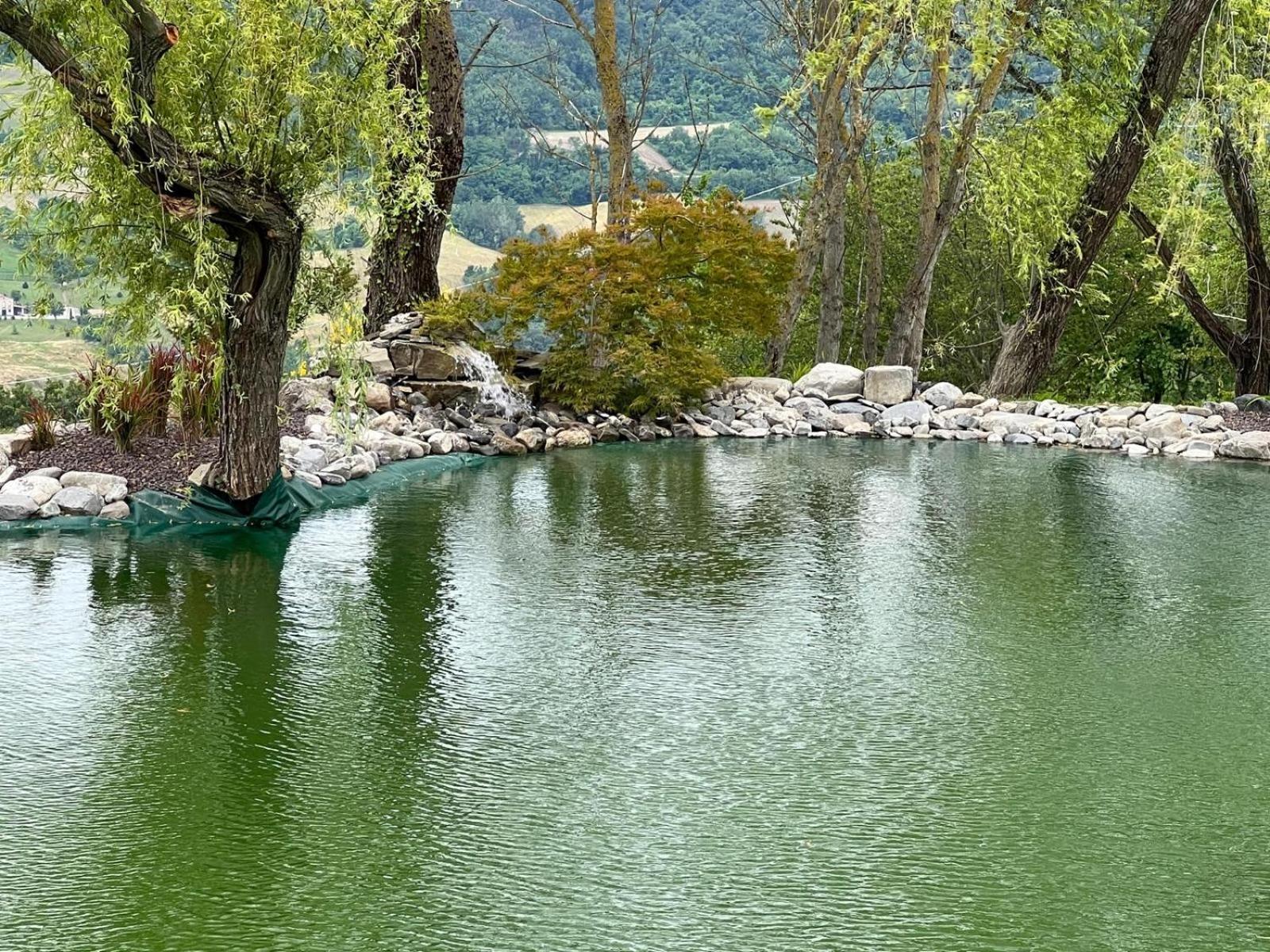 Agriturismo Cergallina Vernasca Екстериор снимка