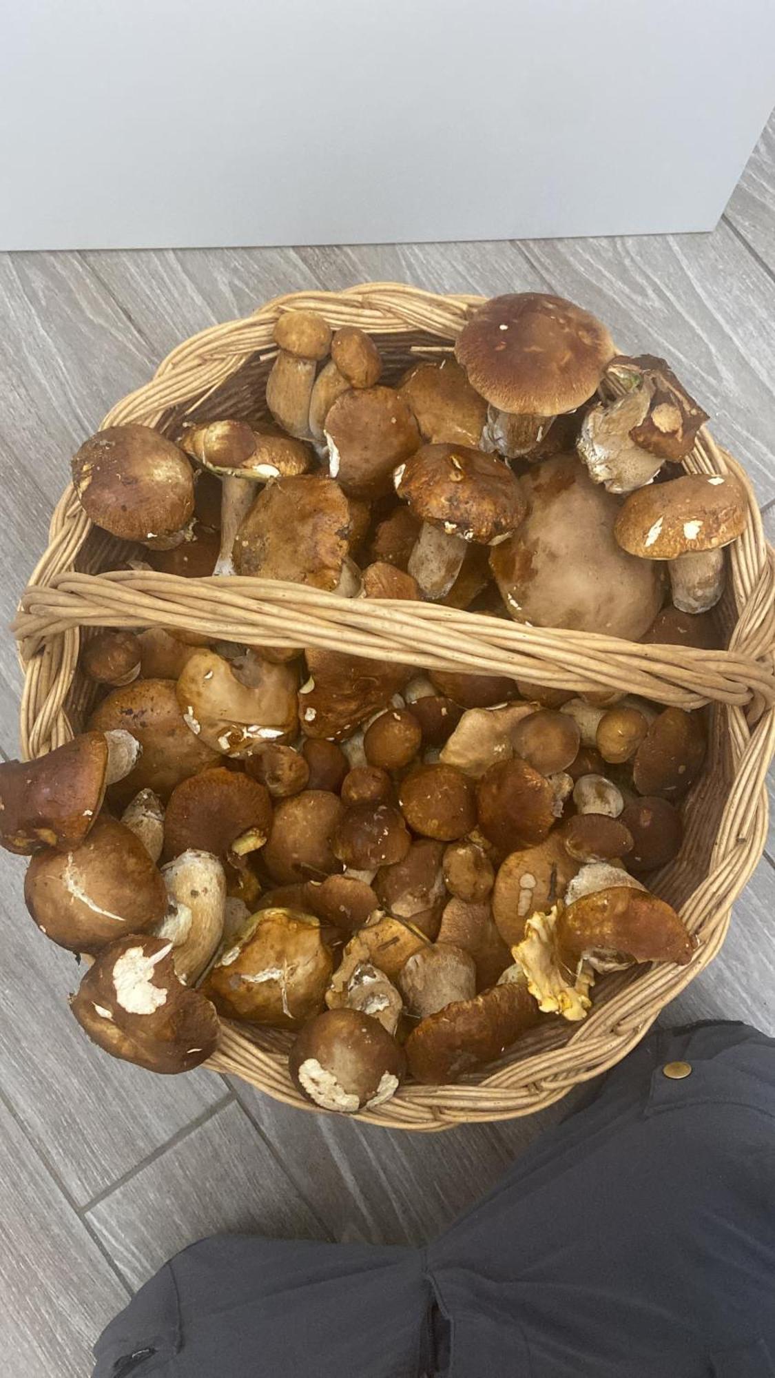 Agriturismo Cergallina Vernasca Екстериор снимка