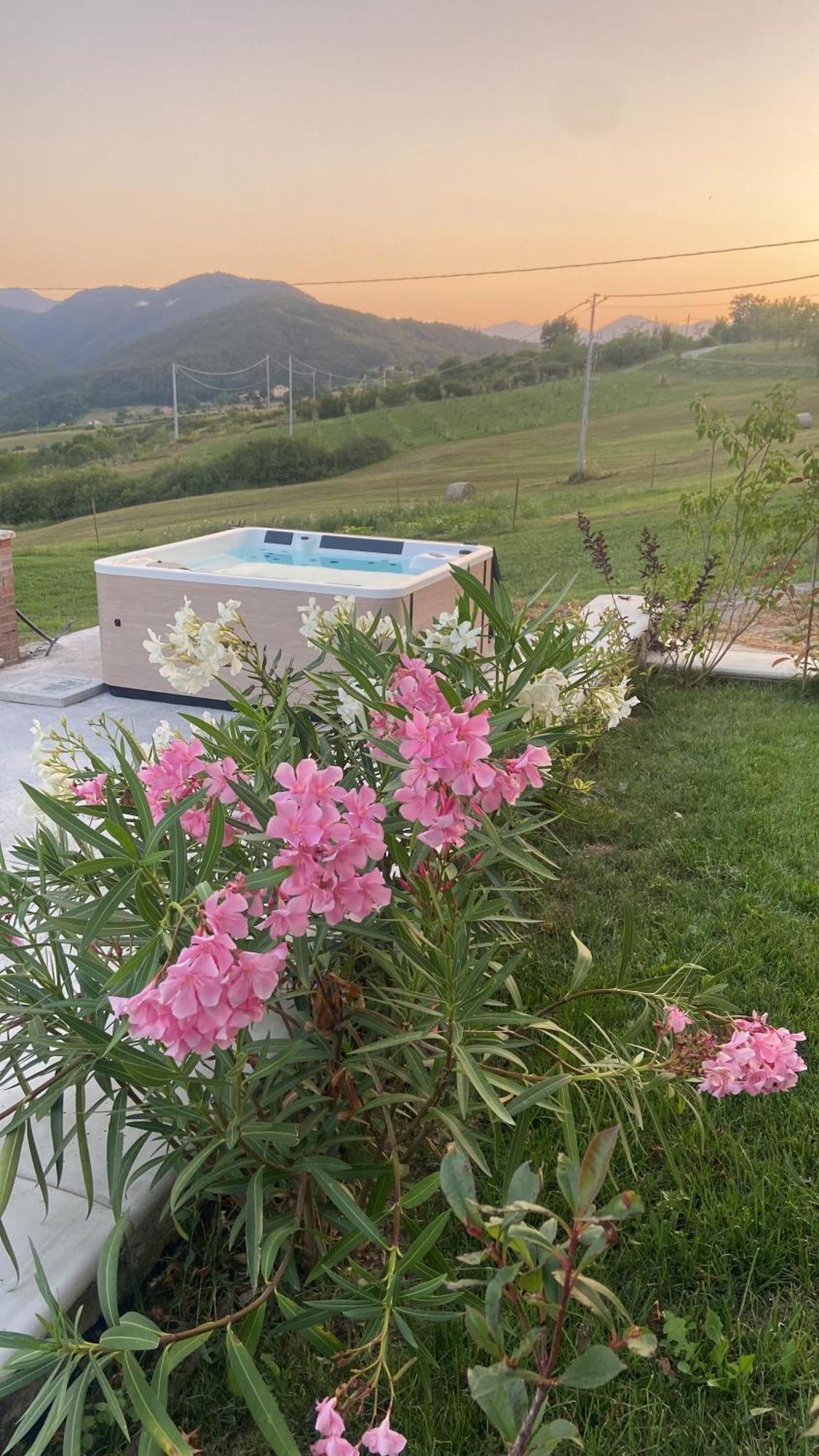 Agriturismo Cergallina Vernasca Екстериор снимка